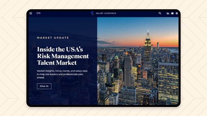 SJ USA Risk 2025 Insights Page