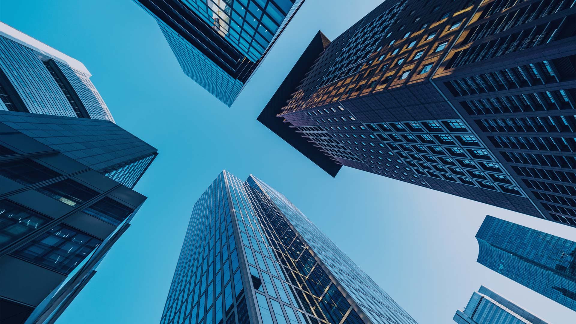 Inside the USA’s Risk Management Talent Market | Selby Jennings
