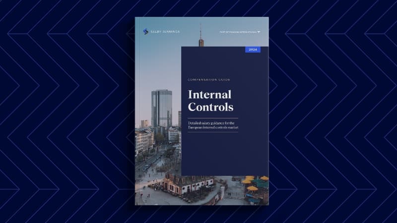 Report Page Visual Compensation Guide Internal Controls EU 2024 (1)