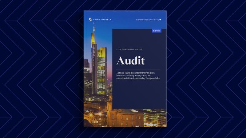 Report Page Visual Europe Audit Compensation Guide 2025