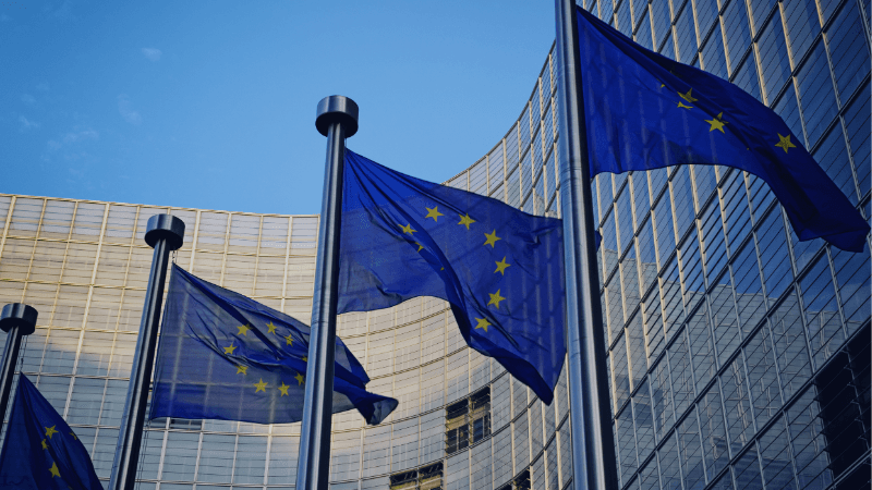 EU Pay Directive